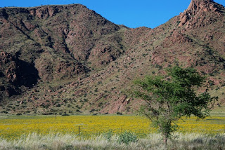 Namibia, horizons of green desert