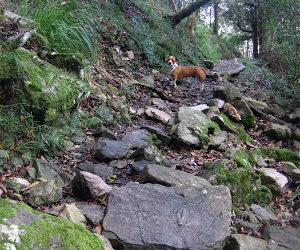 Not an end, rather a new beginning