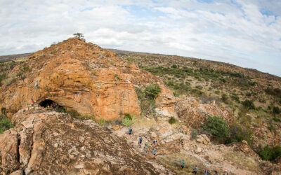 Mapungubwe Transfrontier Wildrun 2017