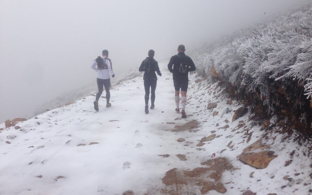 SA’s oldest and newest trail races